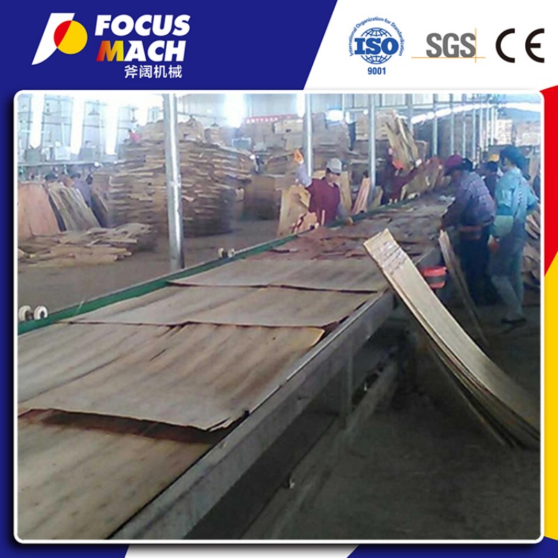 PLYWOOD PAVING MACHINE (4)